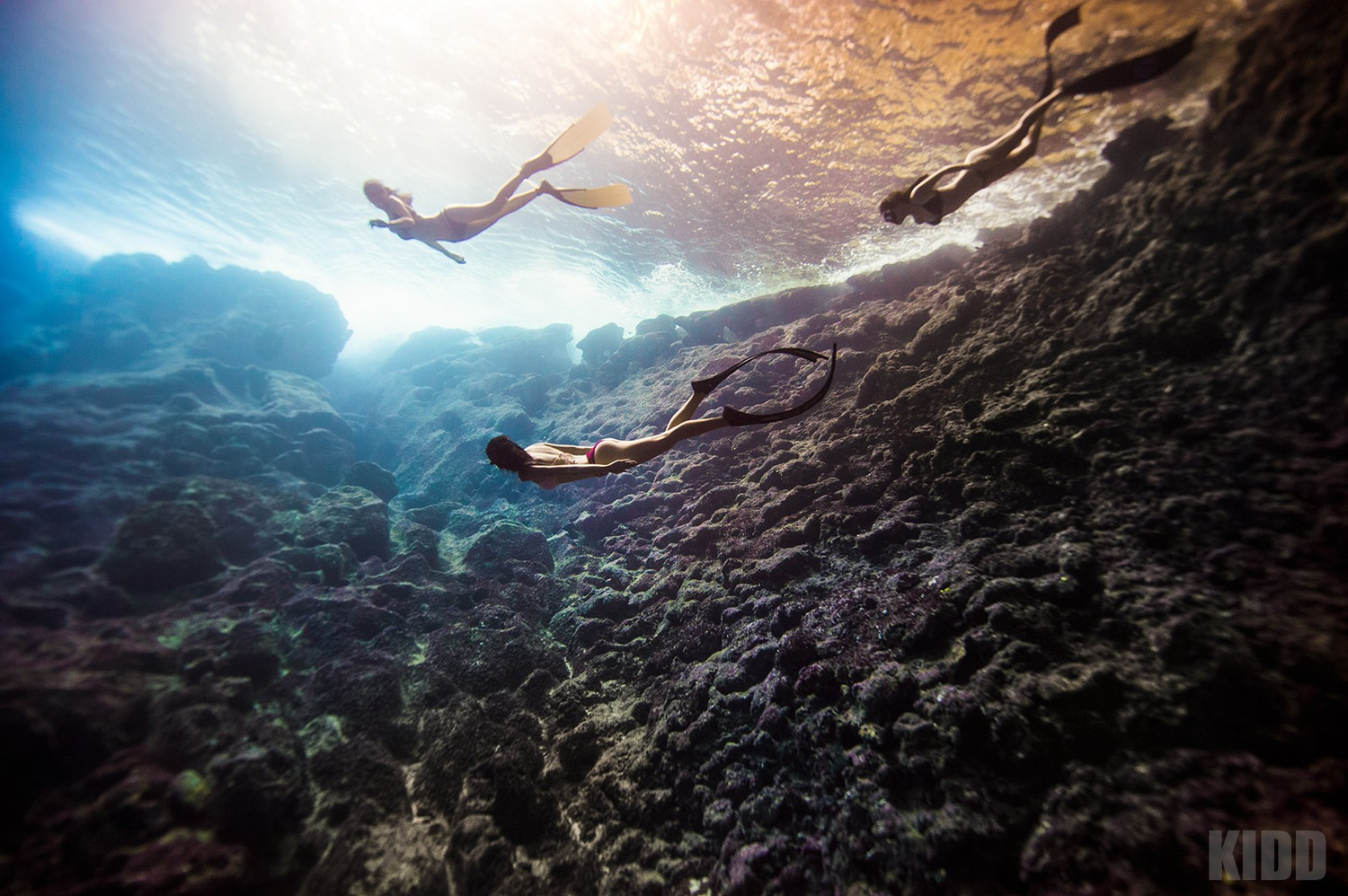 水中精灵-海盗王.基德自由潜摄影作品 - 美国游