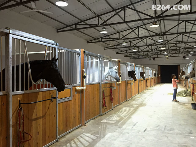 西安白鹿原马术俱乐部