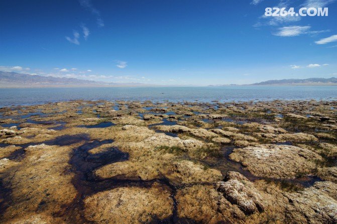 用三天时间,陪我去可可西里看海!