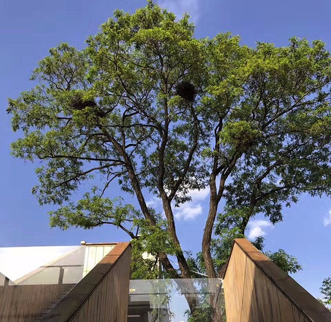 5月西安周边自驾游二日游,一起把周末过成诗