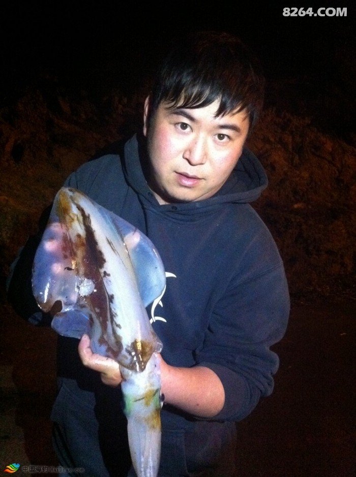 Eging 钓鱿鱼 鱿来鱿去 近期斩获 元芳,你怎么看