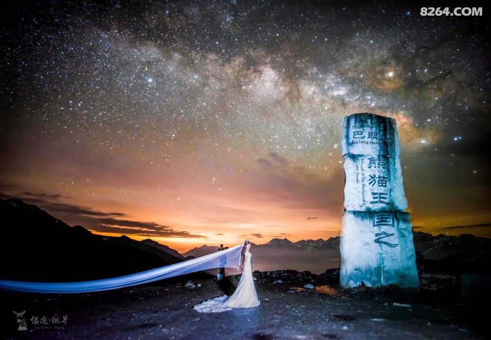 守候︱熊猫王国之巅 - 游记攻略 - 8264手机触屏