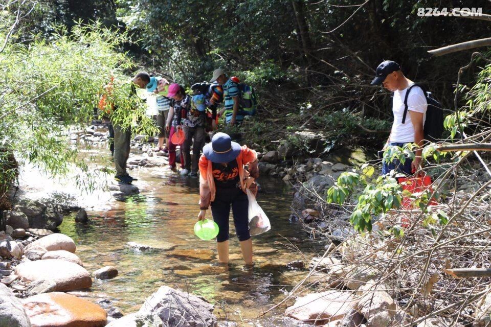 夏日花样式扑鱼捞虾--清凉永泰万虾溪! - 福建 -