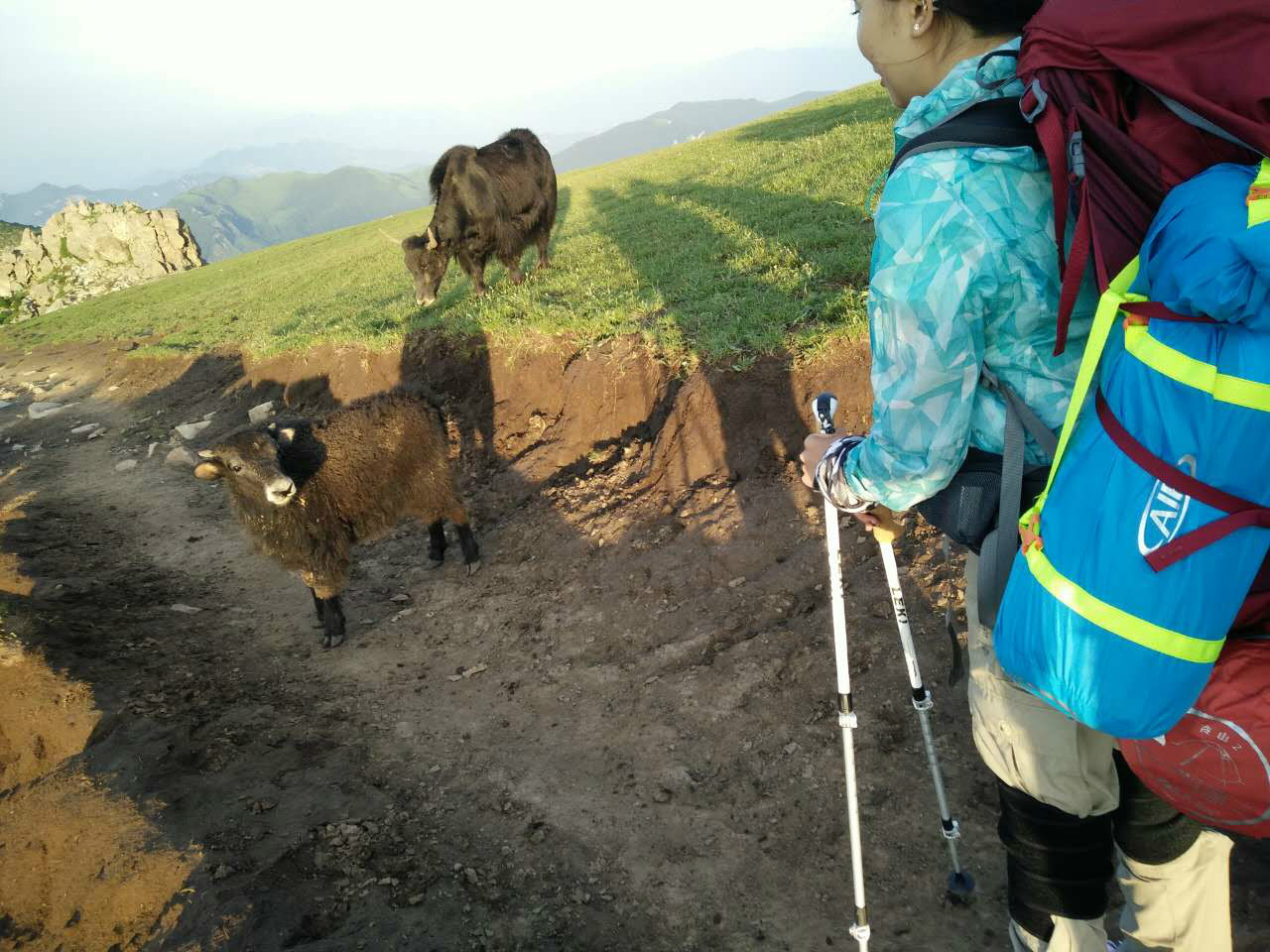 052615ejlr1la7jirogc25.JPG!t1w1500h1500