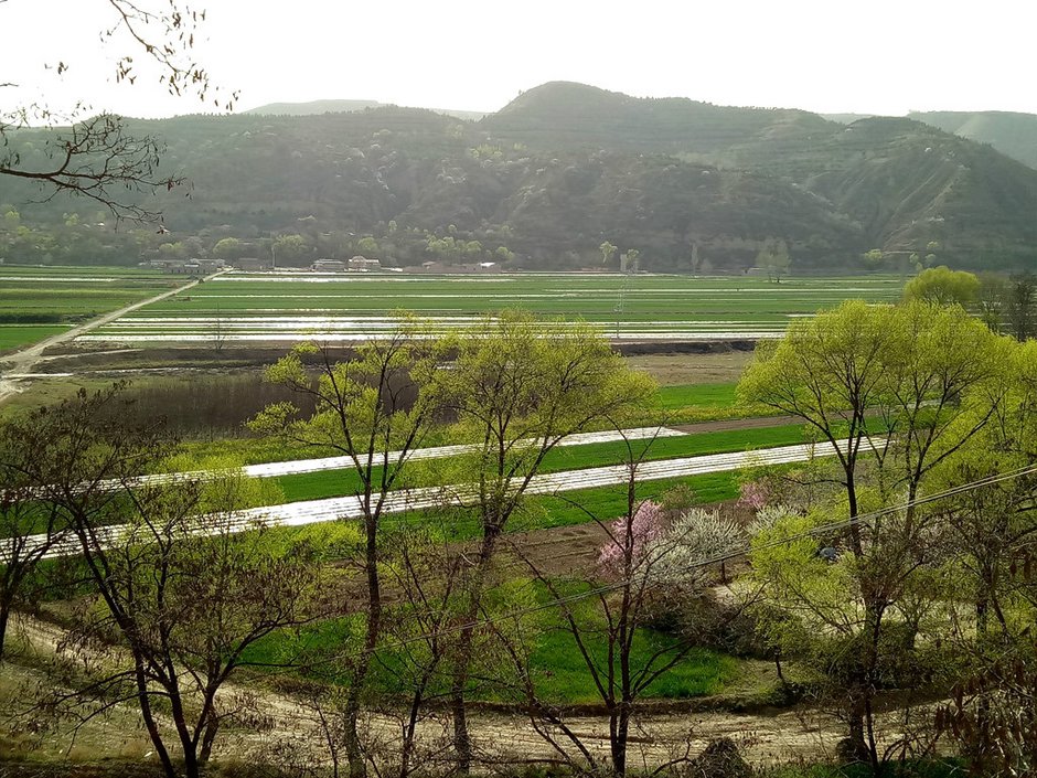固原一一彭阳一一镇原 春天的景色