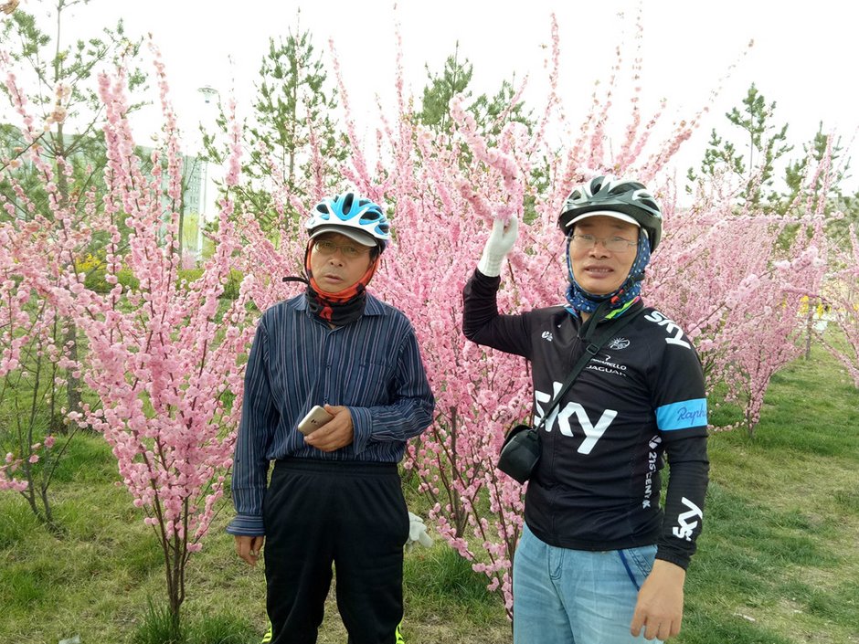 固原一一彭阳一一镇原 春天的景色