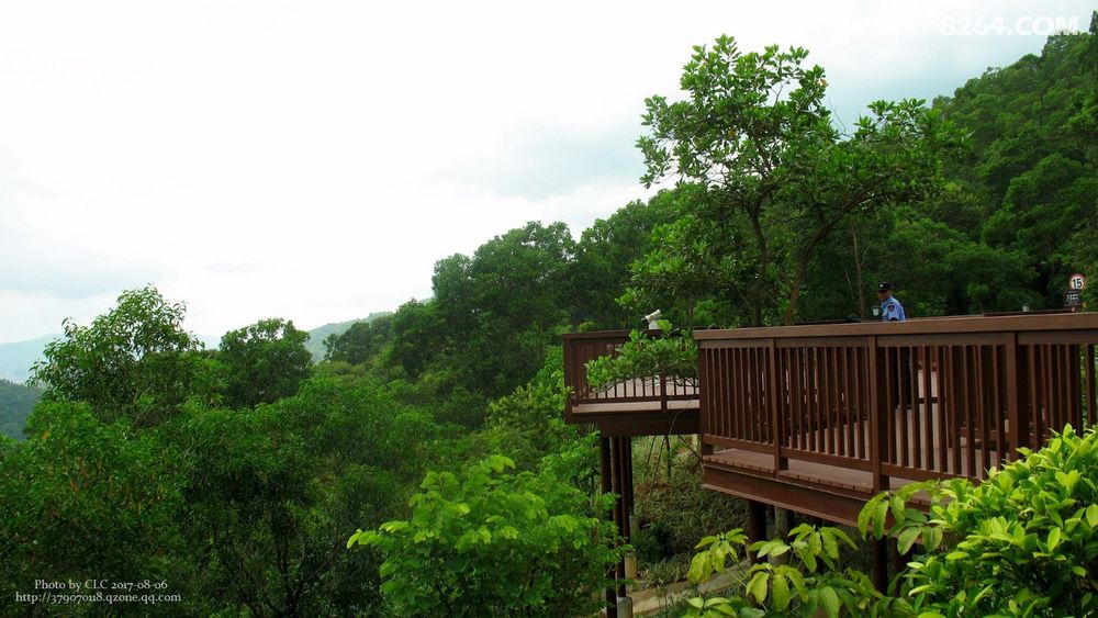 中山可以看海的、免费的新景点--犁头尖山 - 广