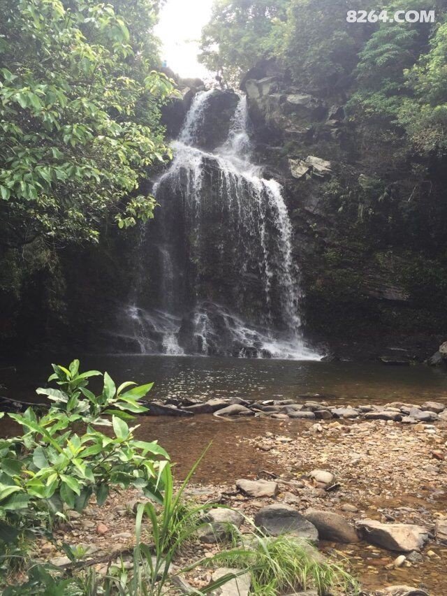 驴友天堂在香港:新娘潭、照镜潭(作业)