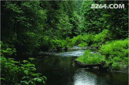 周末游玩去哪儿好?铁山寺漂流离扬州最近的漂