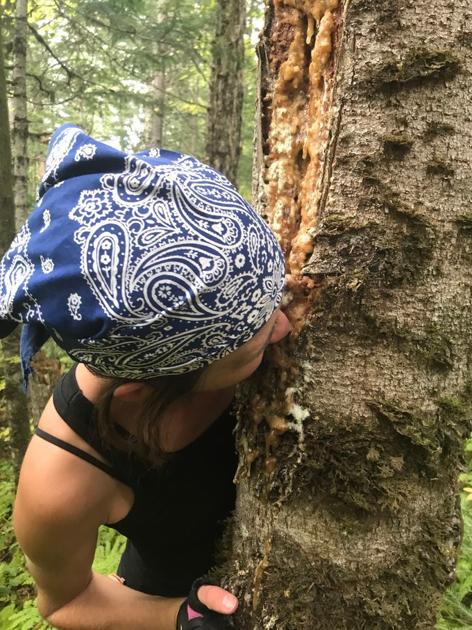 俄罗斯远东森林充个电 - 俄罗斯游记攻略 - 826