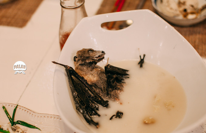 在七色琉璃海,做上帝的一尾鱼-水下\/无人机航拍