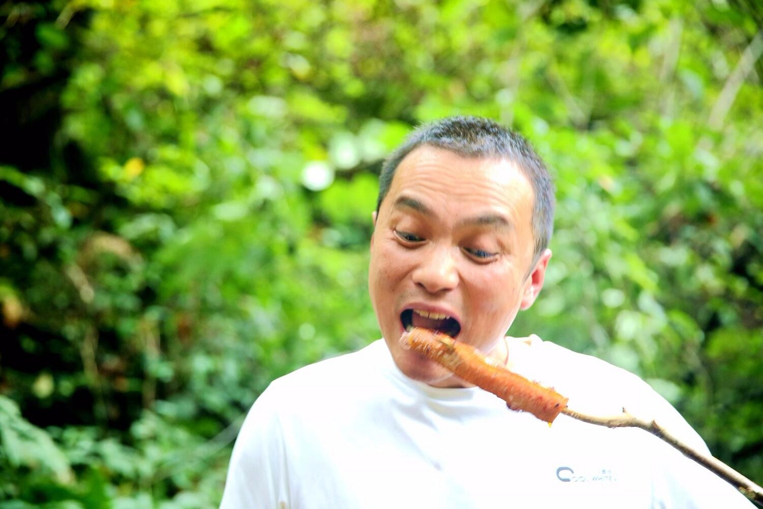 放下贪世念,心净出轮回。一蒿赴江湖,天下皆通