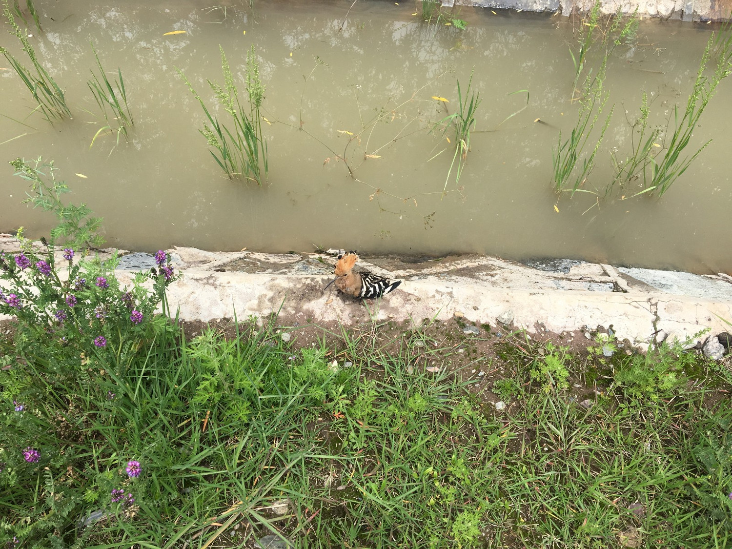 漫步云端《二》--川藏大北线317成都至拉萨24