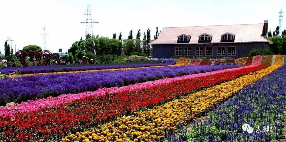 灵魂的诗人,塞外小江南--新疆伊犁 - 户外资料 -