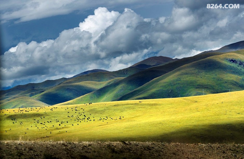 年保玉则,想说爱你不容易