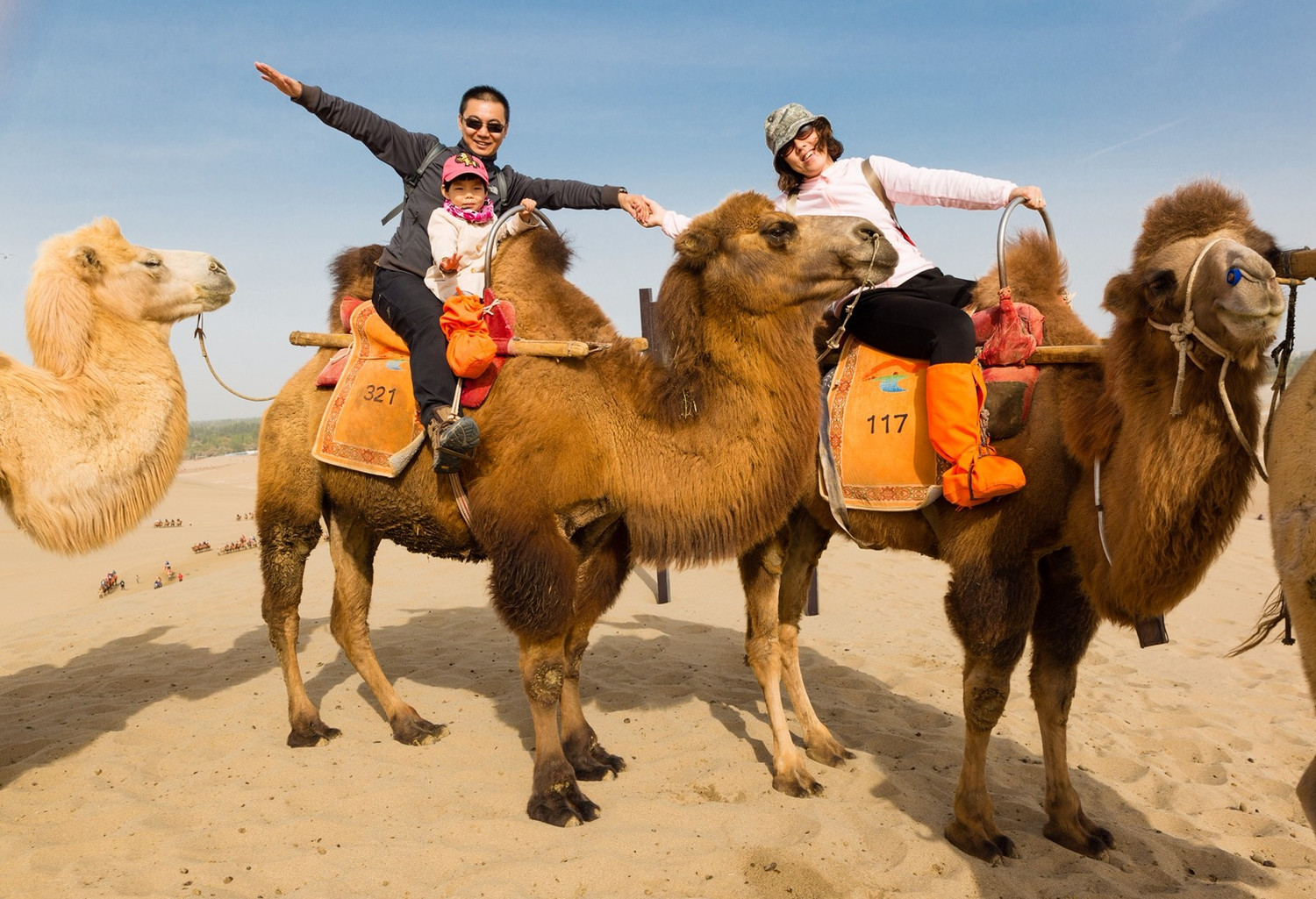 感受魅力中国--自驾中国西部 - 中国|青海湖游记