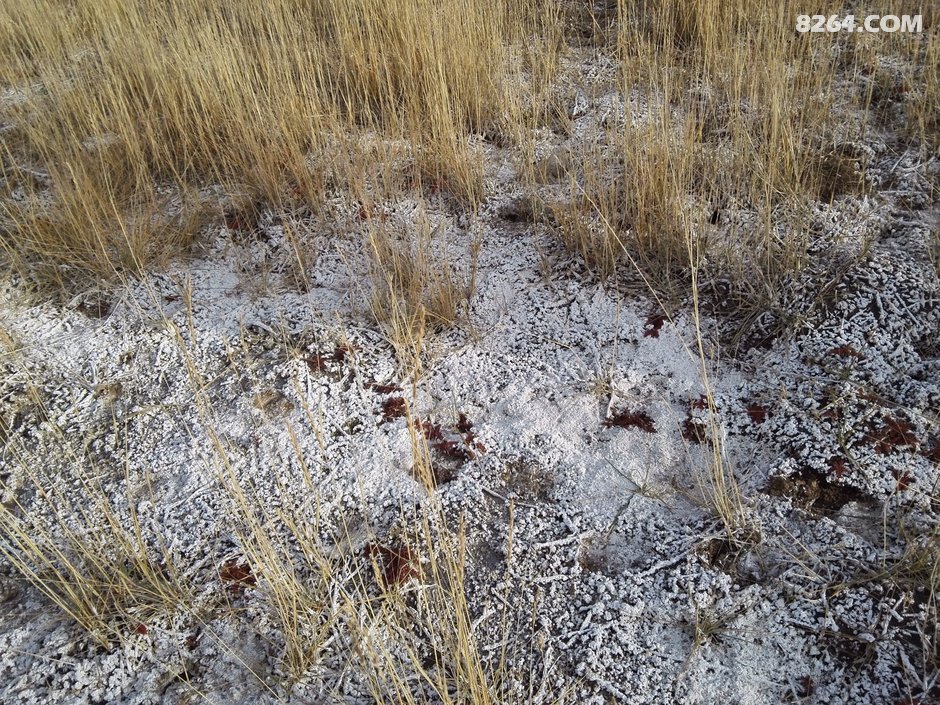 152940bbji89alvc9wrpzk.jpg!t3w825h0