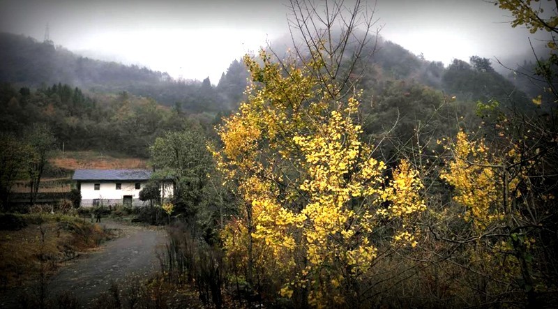 湖北省姊归县小西藏磨坪乡 山水灵味的磨坪,风