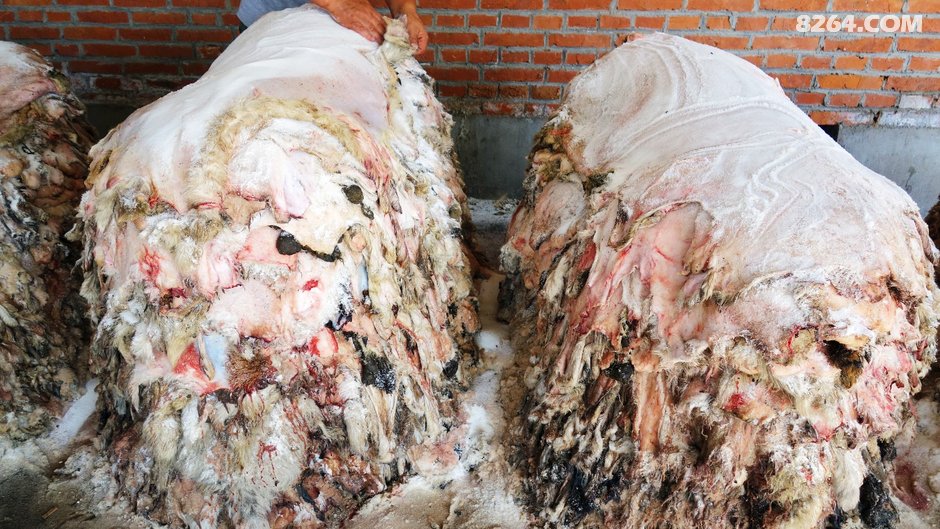 大美内蒙古.骑行圣地呼伦贝尔+兴安盟.四旗.两