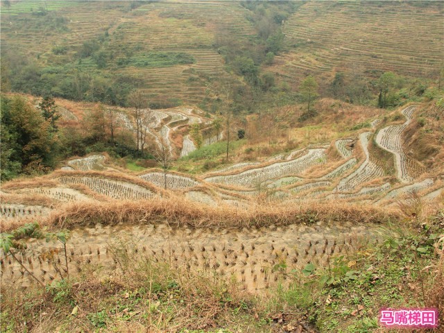 1216周末:南川刨猪汤，道真傩城戏。