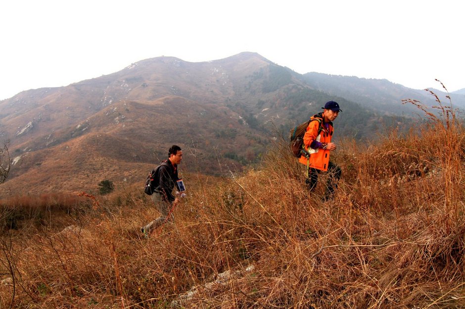 144246542bqfi87ii218az.jpg!t3w825h0