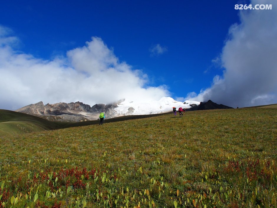 梦见过有幅画 画里面是我家 记(重装)穿越格聂