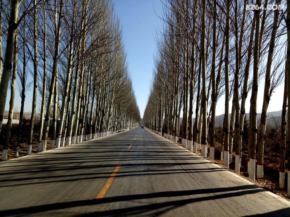 从固原一一彭阳一一镇原的骑行