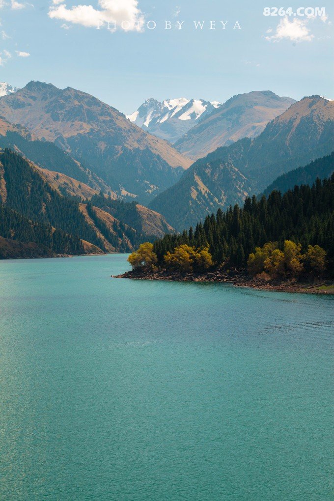 082220lyx94pf4waymzam5.jpeg!t3w825h0