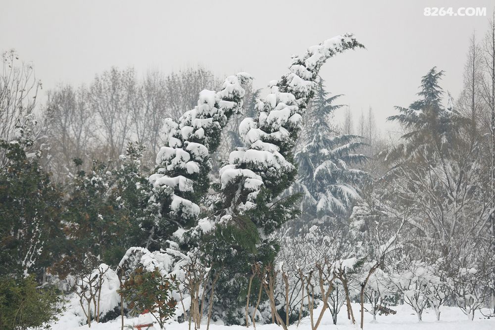 淮南龙湖公园徒步扫雪