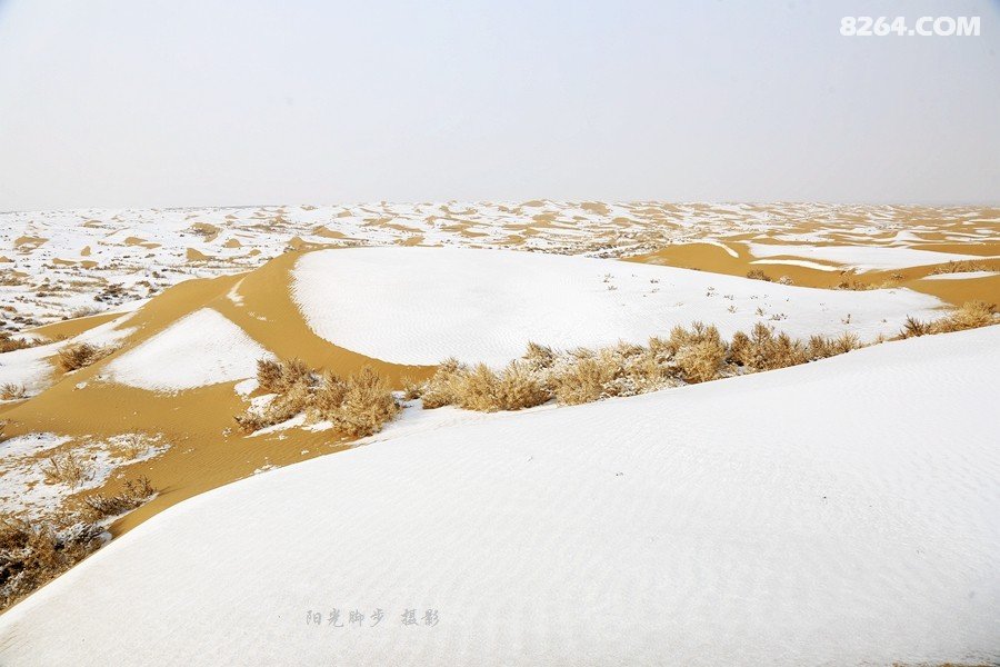 大漠沙如雪曲谱_大漠沙如雪