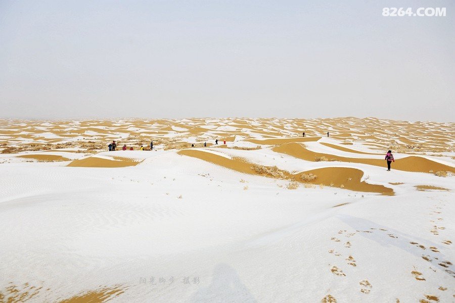 大漠沙如雪曲谱_大漠沙如雪
