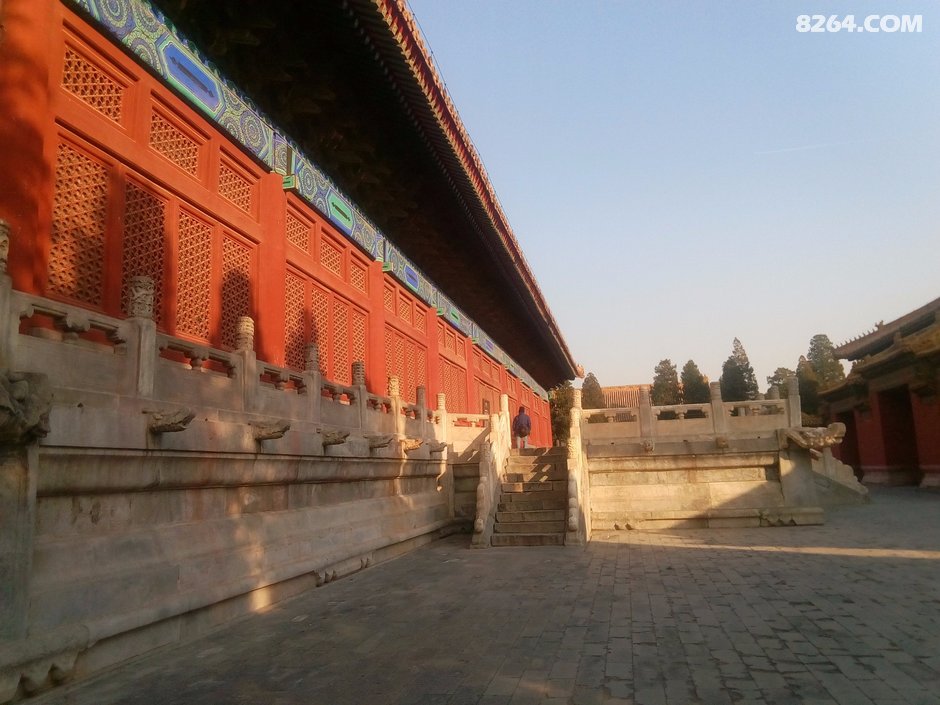 参天古柏迎宾客,巍峨太庙不寻常,游北京劳动人