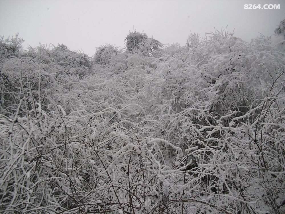 2018.1.31-2.1赵公山登山作业,没日出云海,太冻