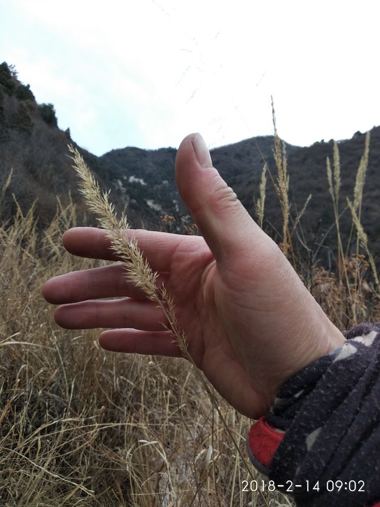 腊月29情人节探密长峪沟九条冰瀑 - 山西 - 826
