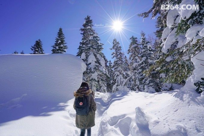 蓝与白的圆舞曲(日本飞驒山脉、平汤温泉、白