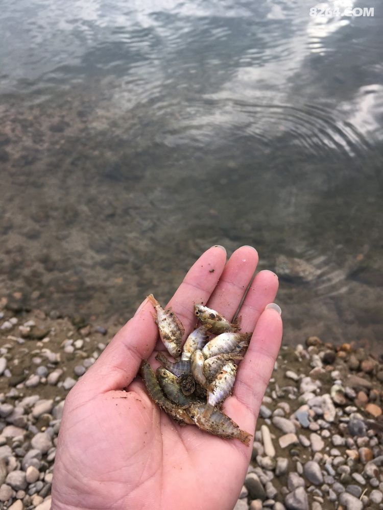 2018春节柳州猪头山+融水元宝山 - 广东 - 826