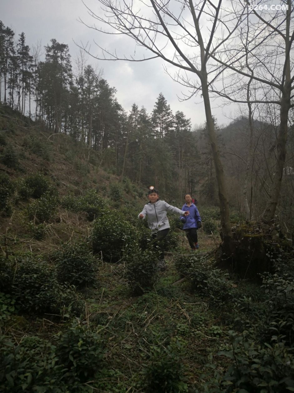 3月4日安徽青少年洞穴探险科普活动纪录片