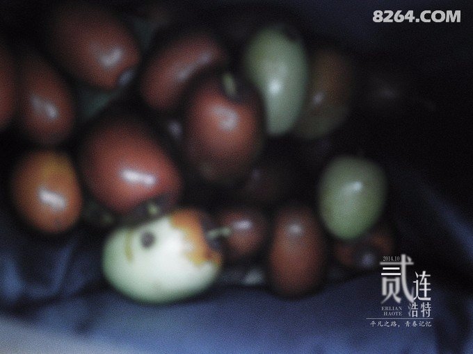 骑行二连——那是一段关于青春的记忆 骑行二连——那是一段关于青春的记忆