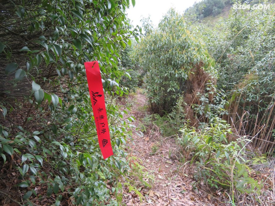 闽清白岩山圈越(2018年3月17日)