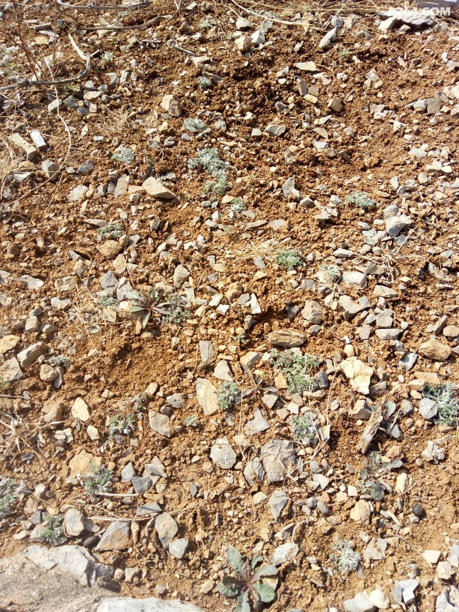 一天一徒步---热爱每一天