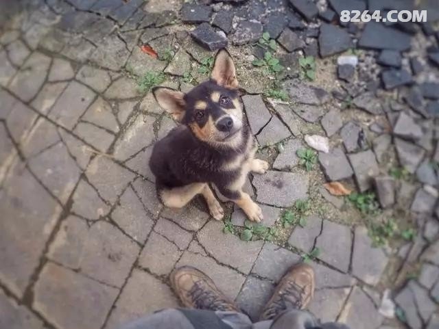 070550r8osq4u5jwza3jaf.jpg!t3w825h0