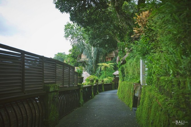 Bali丨浸满雨水与酒精,祈祷美食和爱情