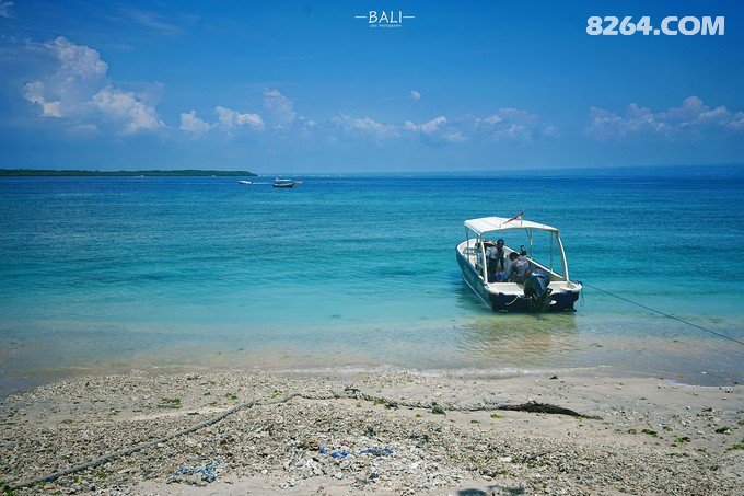 Bali丨浸满雨水与酒精,祈祷美食和爱情