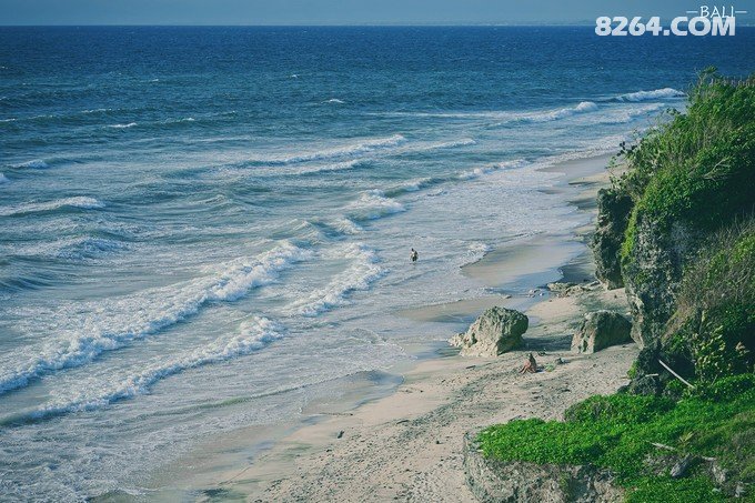 Bali丨浸满雨水与酒精,祈祷美食和爱情