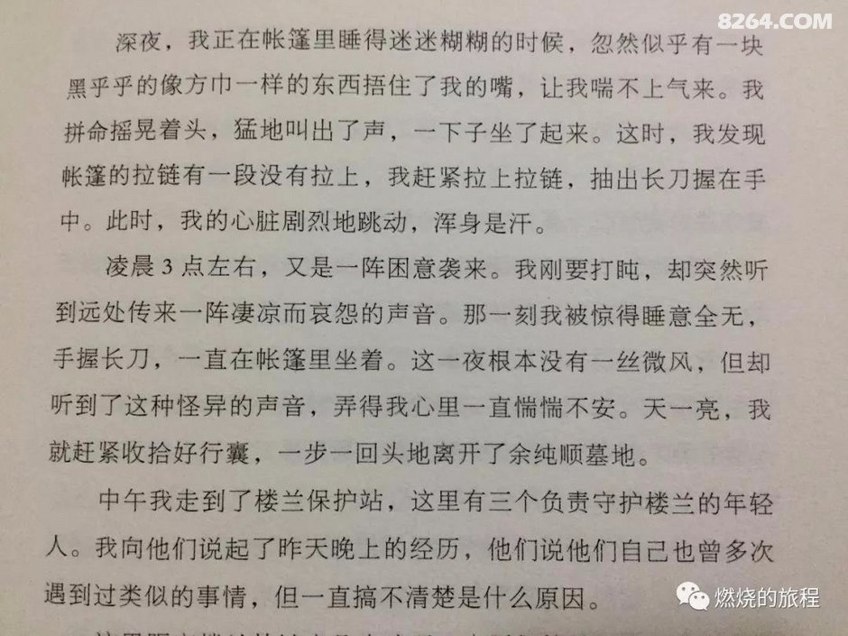 顶牛简谱_顶牛辣条(3)