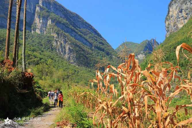(五一户外穿越A线)4月29日-5月1日探秘鹿院坪