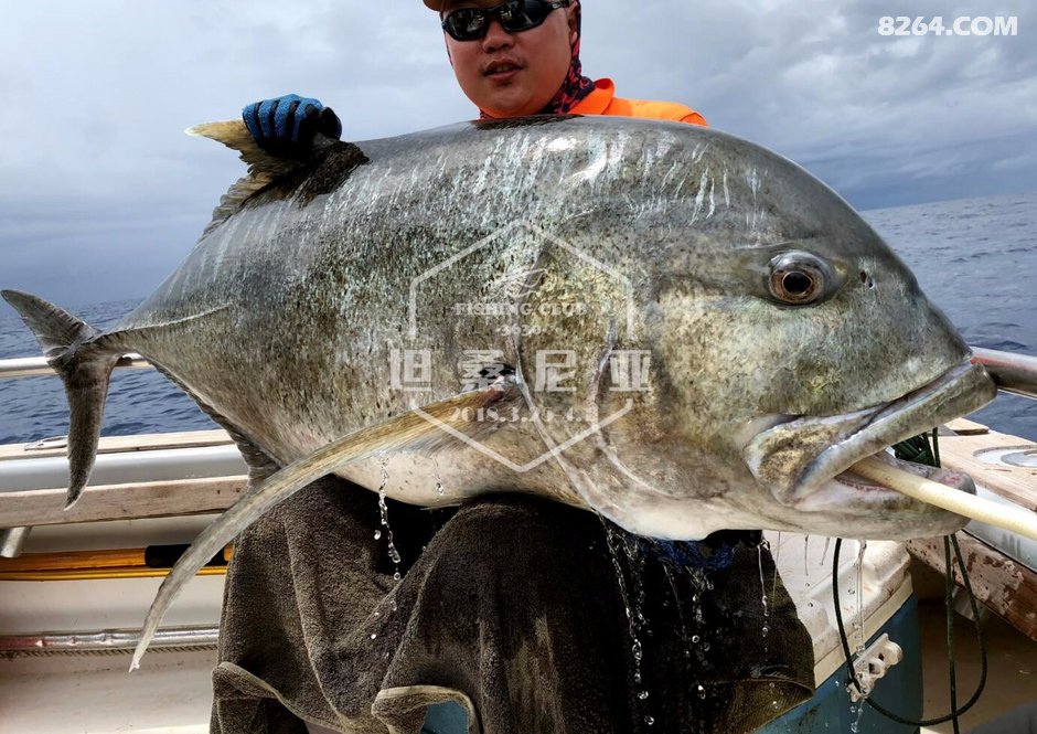 2017年至今当地最大GT出水-3630坦桑尼亚钓