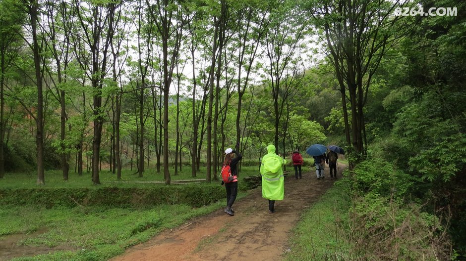 舒塘到修山，一日七座山