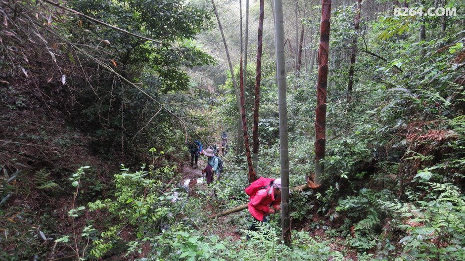 舒塘到修山，一日七座山