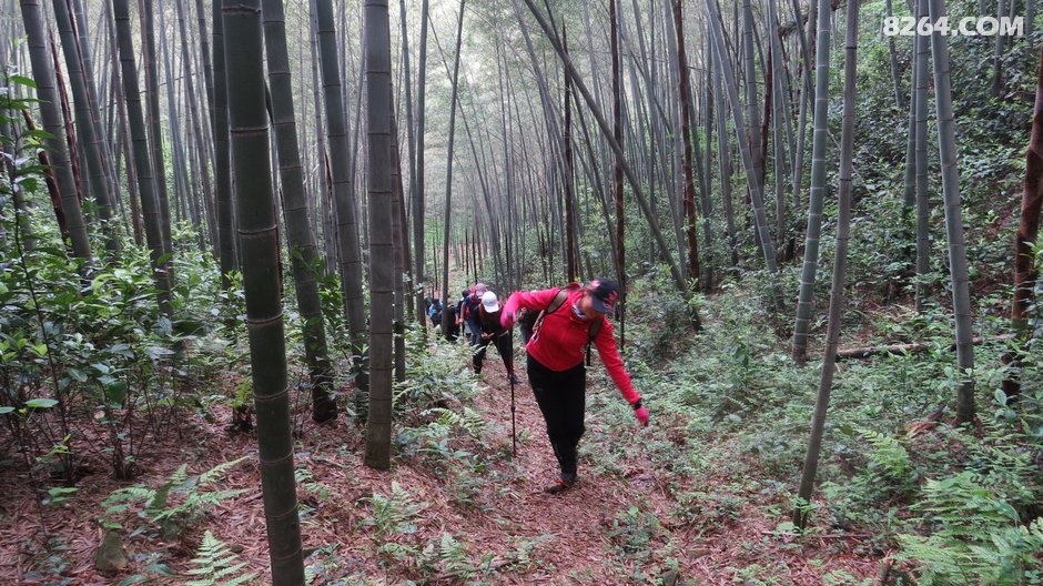 舒塘到修山，一日七座山